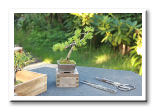 �ܗt���@���i�~��