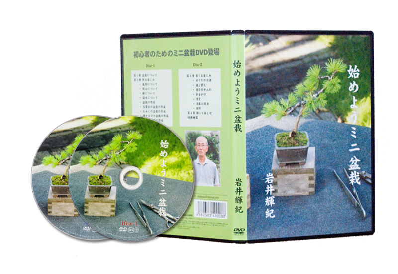 DVD�p�b�P�[�W