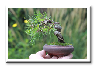 �~�j�~�́@���S��