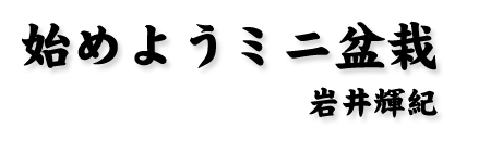 �~�j�~�͂̍���