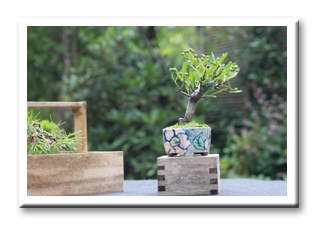 �~�j�~�́@����