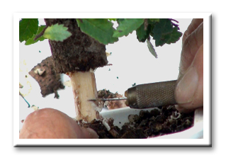 ���i�~��"